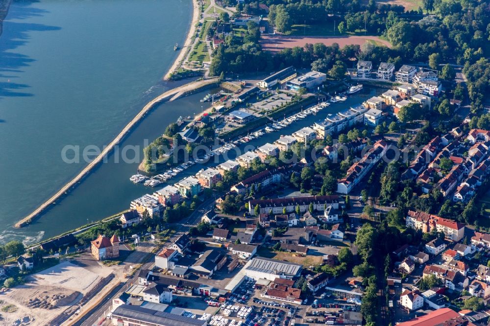Speyer from the bird's eye view: Residential buildings in the development area on the river Rhine quayside of the former port Hafenstrasse in Speyer in the state Rhineland-Palatinate, Germany