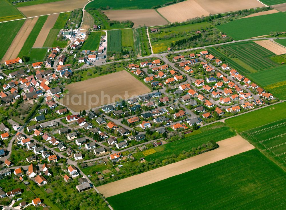 Asch from the bird's eye view: Single-family residential area of settlement in Asch in the state Baden-Wuerttemberg, Germany