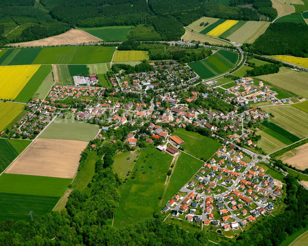 Biberach an der Riß from the bird's eye view: Single-family residential area of settlement in Biberach an der Riß in the state Baden-Wuerttemberg, Germany
