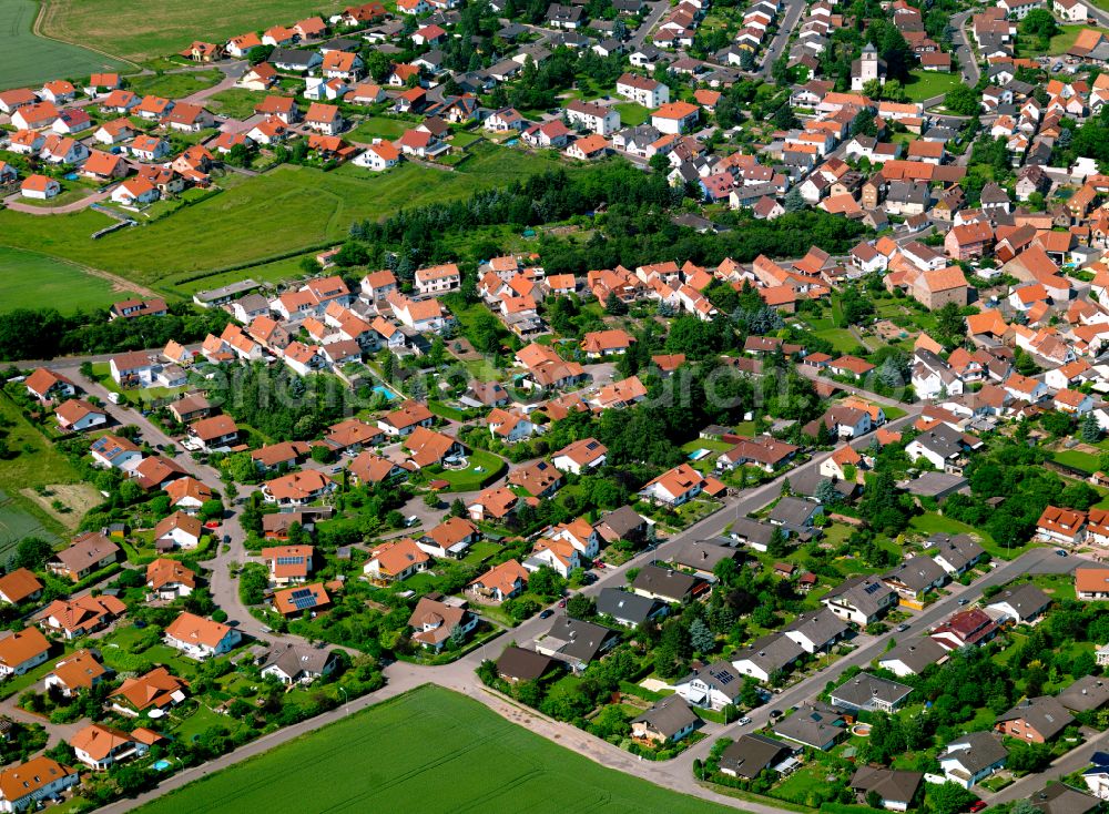 Bolanden from the bird's eye view: Single-family residential area of settlement in Bolanden in the state Rhineland-Palatinate, Germany