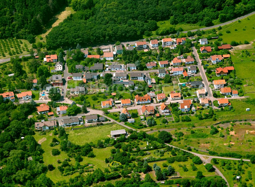 Aerial photograph Dannenfels - Single-family residential area of settlement in Dannenfels in the state Rhineland-Palatinate, Germany