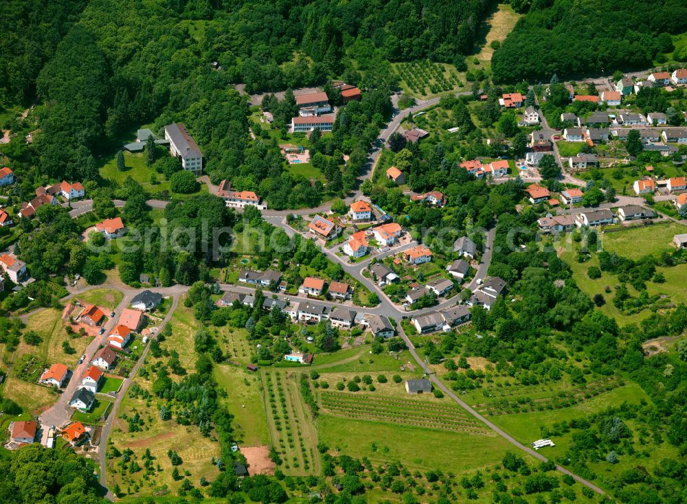 Dannenfels from above - Single-family residential area of settlement in Dannenfels in the state Rhineland-Palatinate, Germany