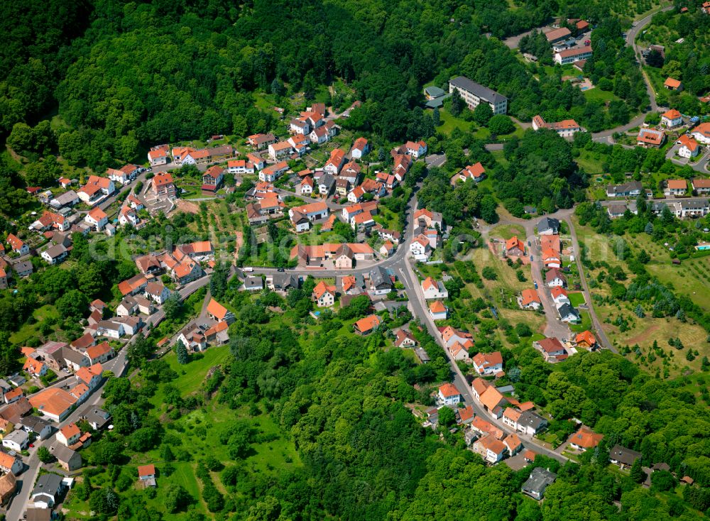 Dannenfels from the bird's eye view: Single-family residential area of settlement in Dannenfels in the state Rhineland-Palatinate, Germany