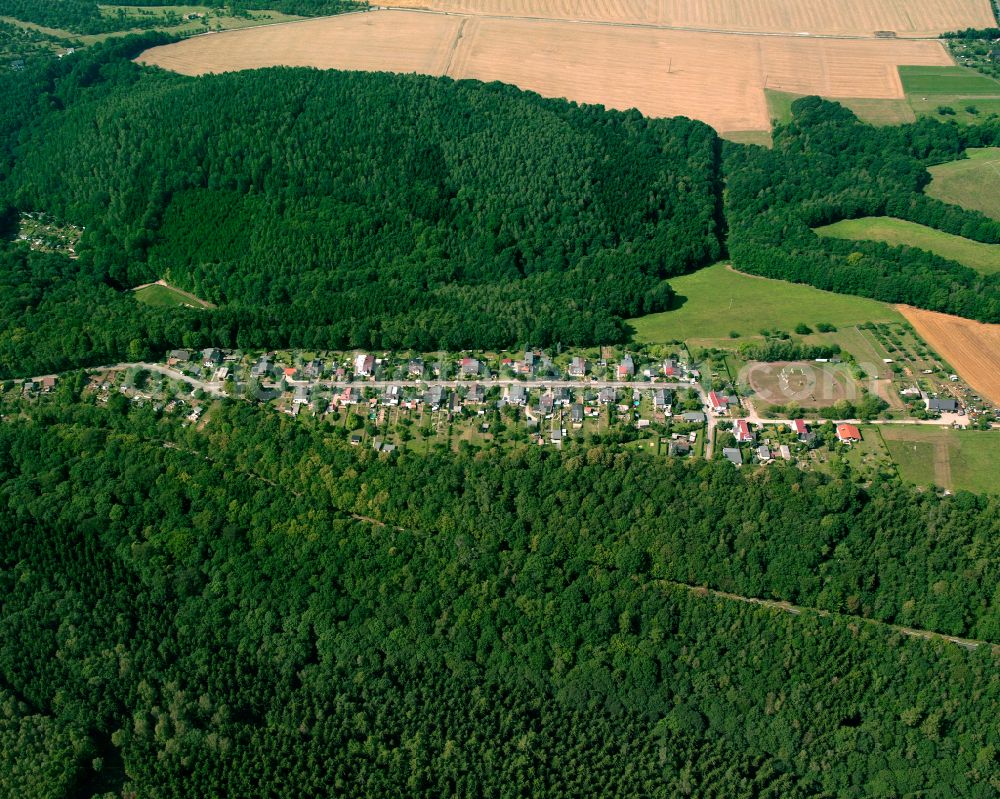 Gera from the bird's eye view: Single-family residential area of settlement in Gera in the state Thuringia, Germany