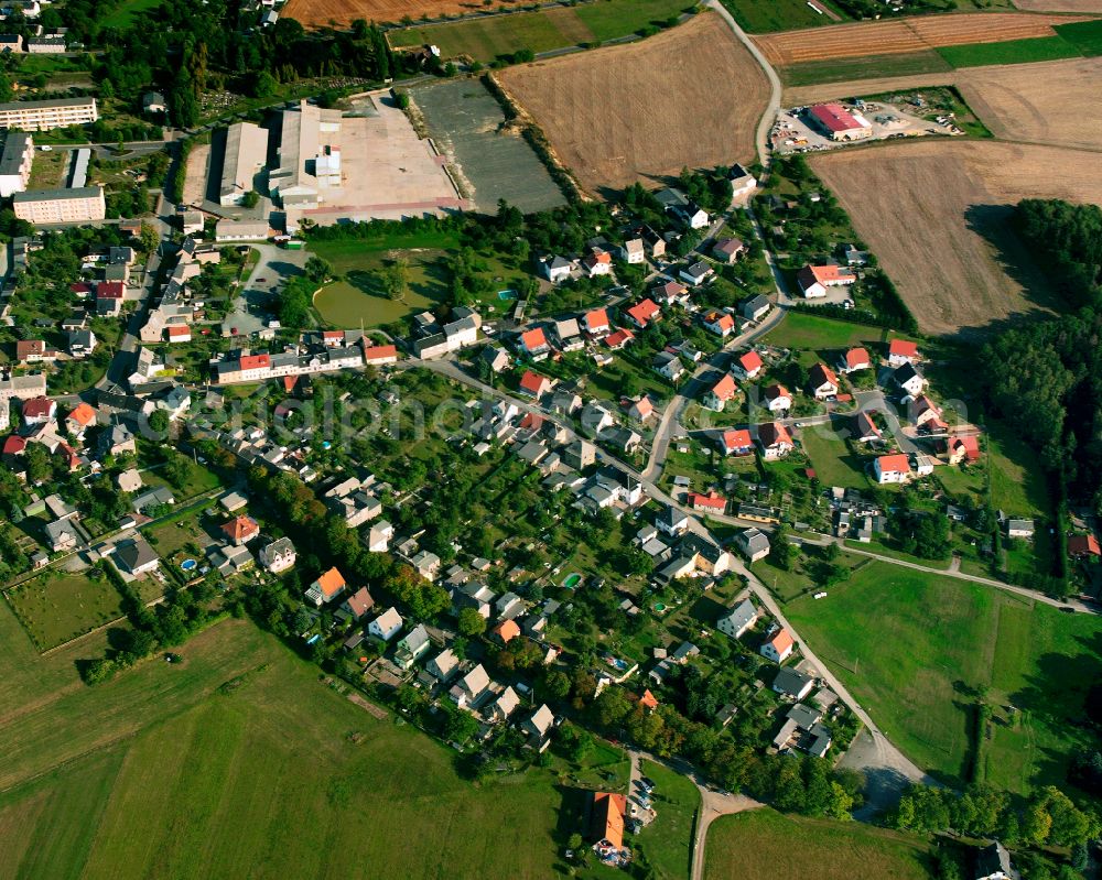 Hohenleuben from above - Single-family residential area of settlement in Hohenleuben in the state Thuringia, Germany