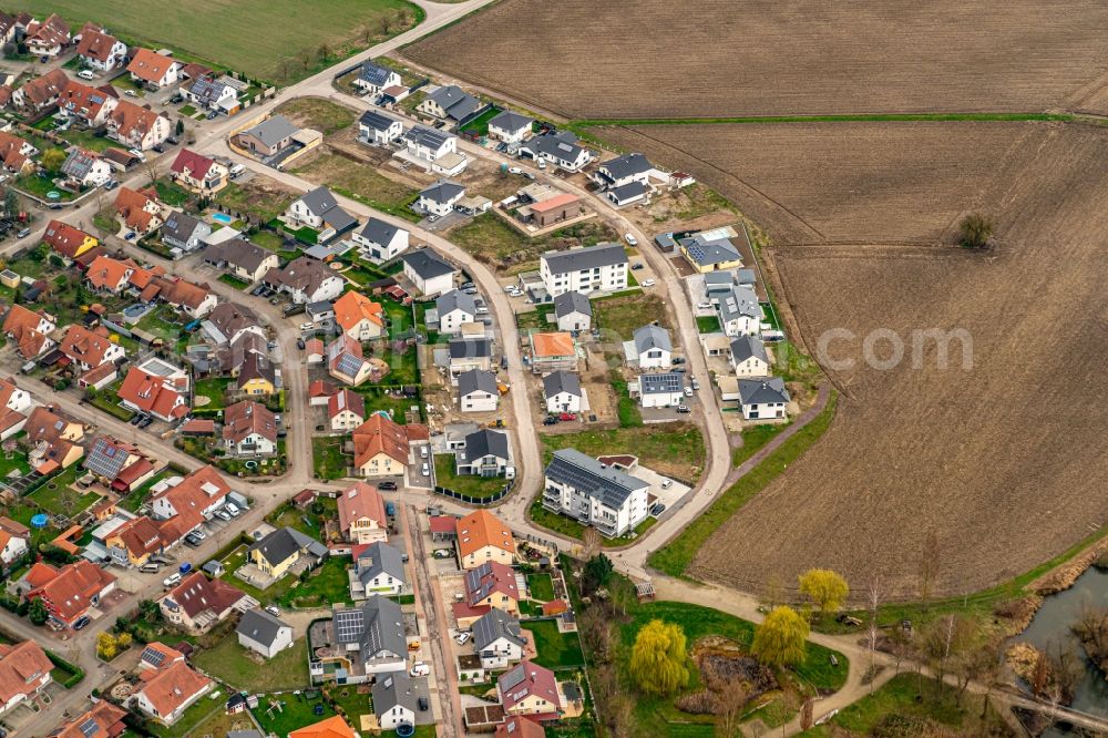 Meißenheim from the bird's eye view: Single-family residential area of settlement Neubaugebiet in Meissenheim in the state Baden-Wurttemberg, Germany
