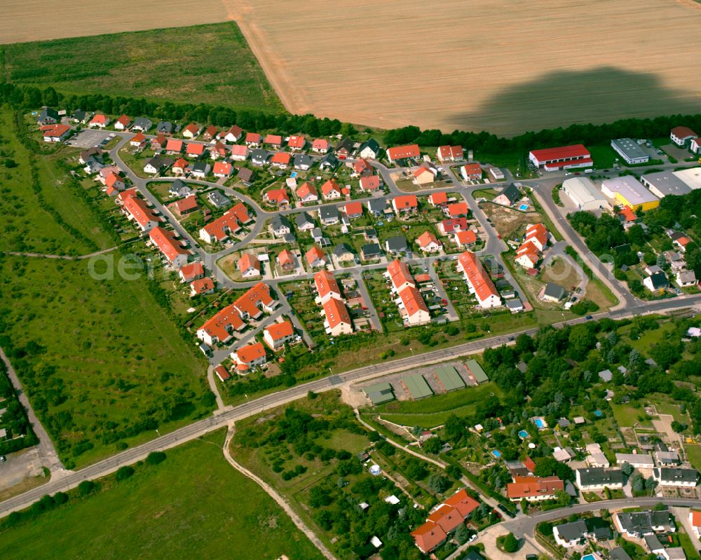 Aerial image Riesa - Single-family residential area of settlement in Riesa in the state Saxony, Germany