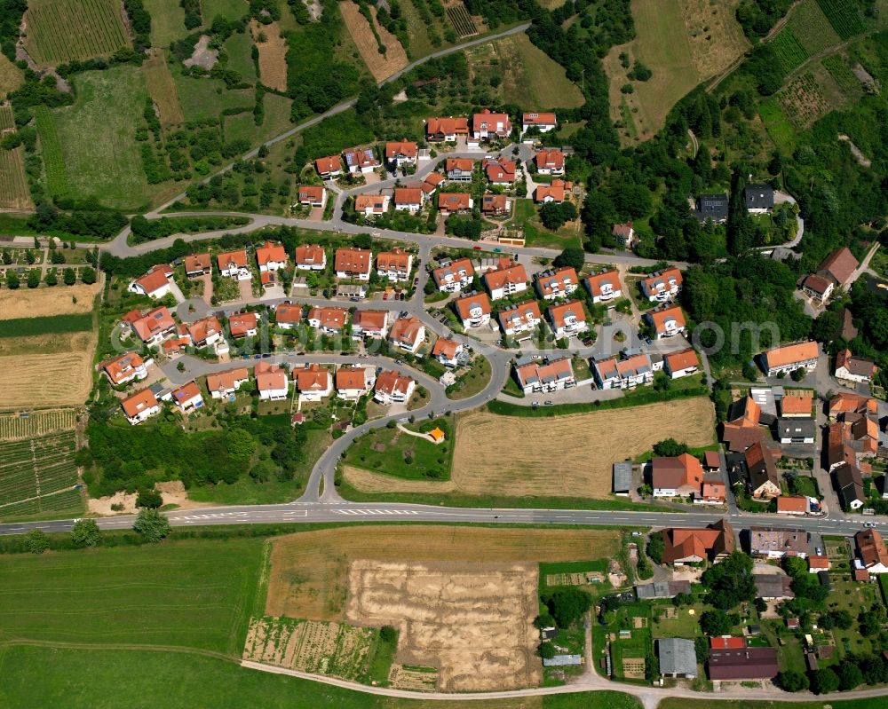 Aerial photograph Ruchsen - Single-family residential area of settlement in Ruchsen in the state Baden-Wuerttemberg, Germany