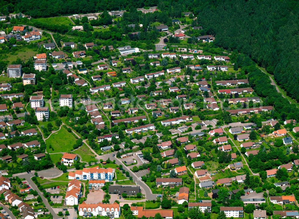 Aerial image Steinborn - Single-family residential area of settlement in Steinborn in the state Rhineland-Palatinate, Germany