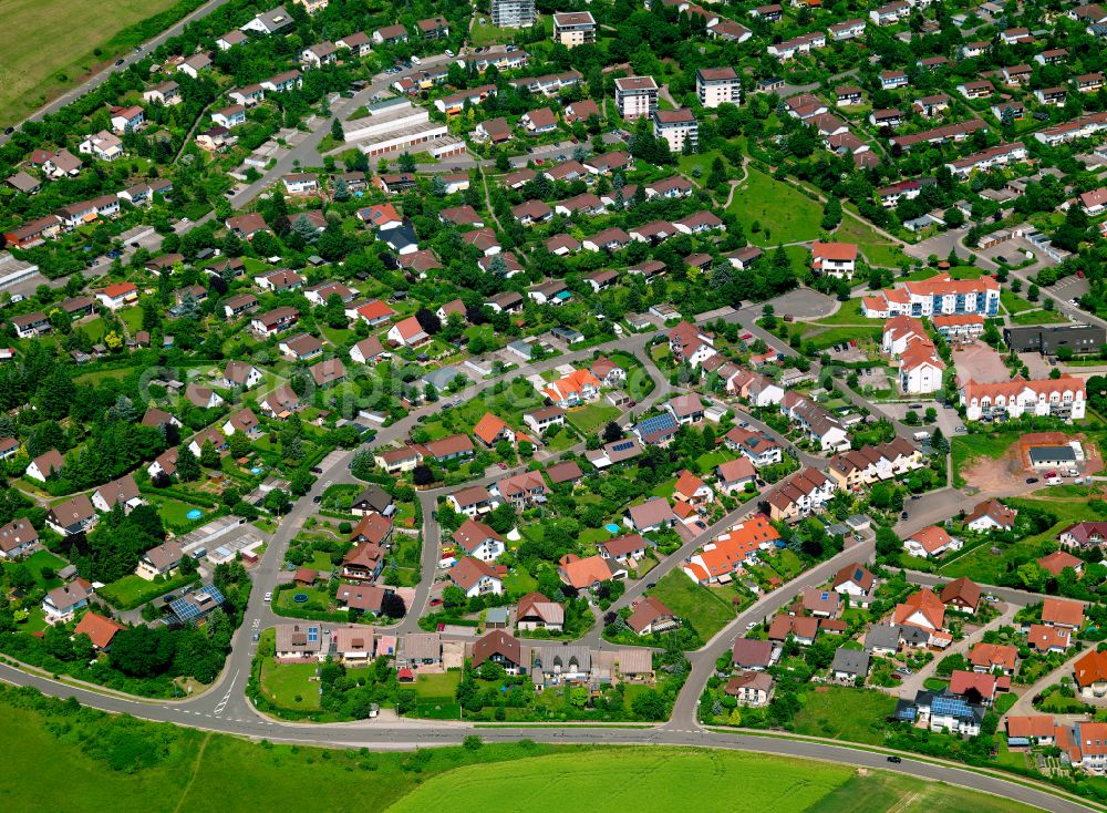 Aerial photograph Steinborn - Single-family residential area of settlement in Steinborn in the state Rhineland-Palatinate, Germany