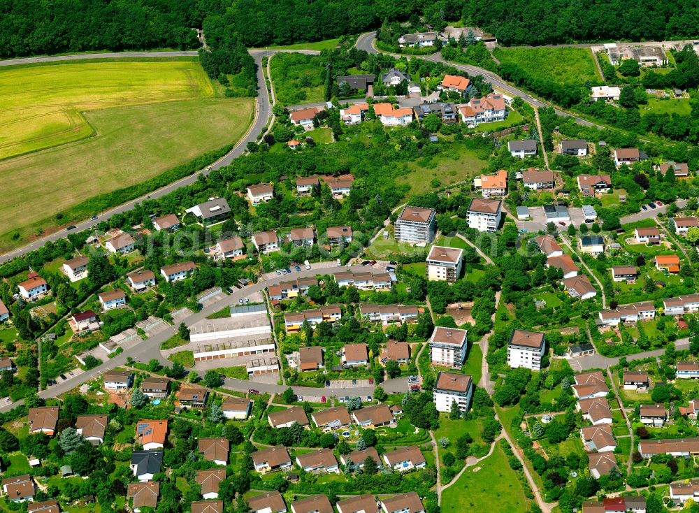 Steinborn from the bird's eye view: Single-family residential area of settlement in Steinborn in the state Rhineland-Palatinate, Germany