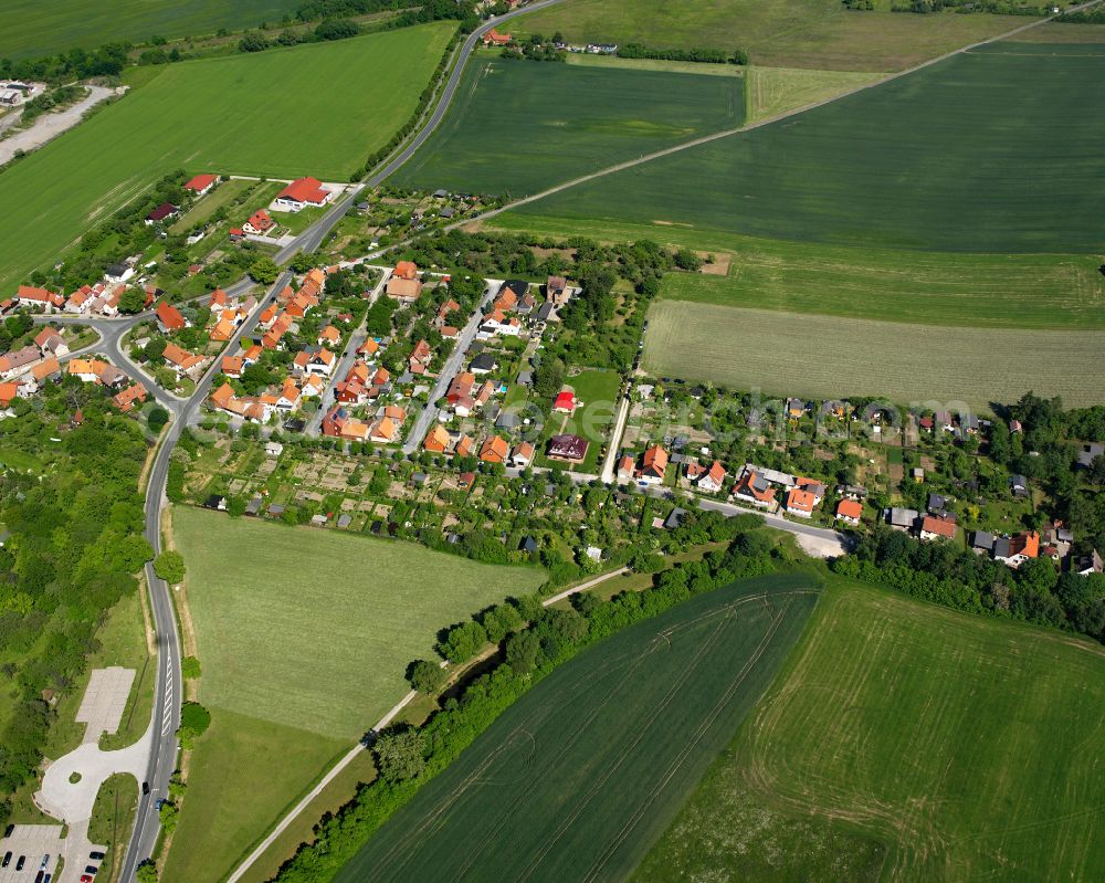 Aerial photograph Drübeck - Residential areas on the edge of agricultural land in Drübeck in the state Saxony-Anhalt, Germany