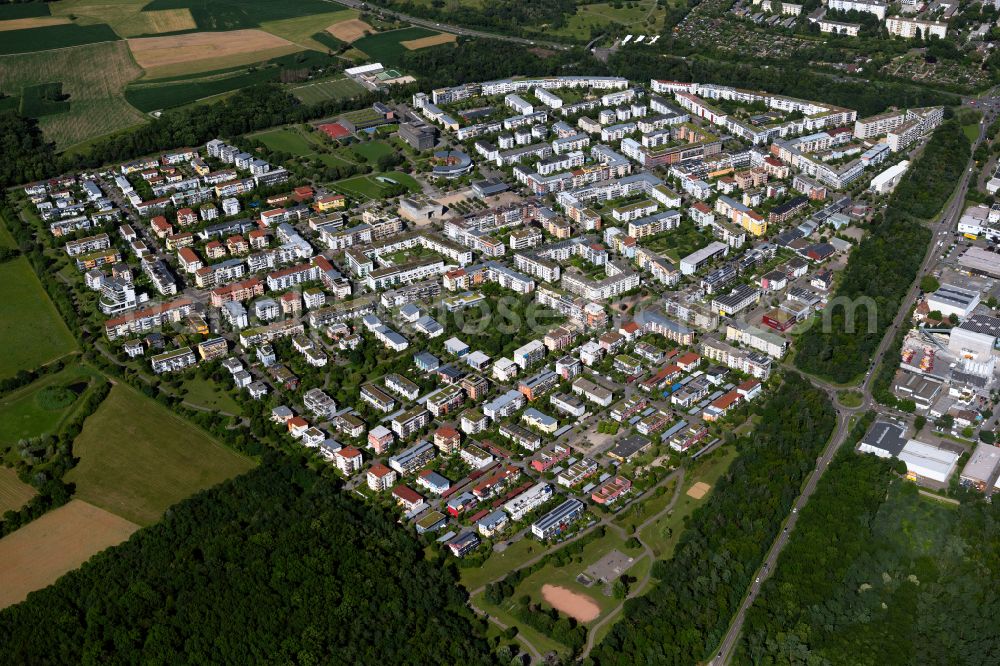 Rieselfeld from the bird's eye view: Residential areas on the edge of agricultural land in Rieselfeld in the state Baden-Wuerttemberg, Germany