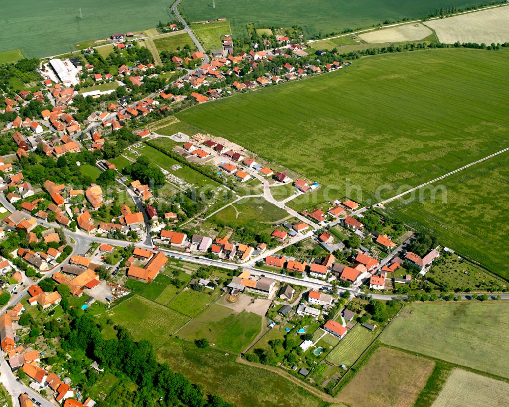 Aerial photograph Veckenstedt - Residential areas on the edge of agricultural land in Veckenstedt in the state Saxony-Anhalt, Germany