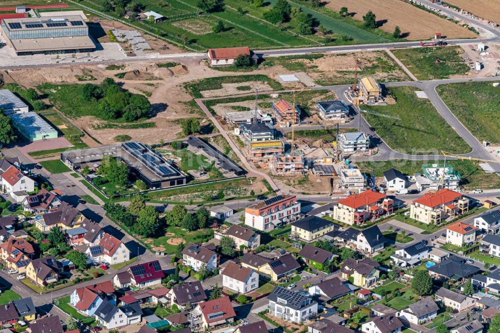 Aerial image Rust - Single-family residential area of settlement in Rust in the state Baden-Wurttemberg, Germany