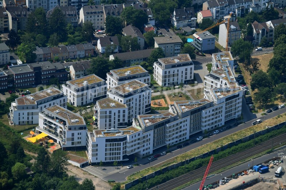Aerial image Bonn - Residential area of the multi-family house settlement Wohnquartier Suedstadtgaerten along the Albert-Fischer-Strasse in the district Kessenich in Bonn in the state North Rhine-Westphalia, Germany