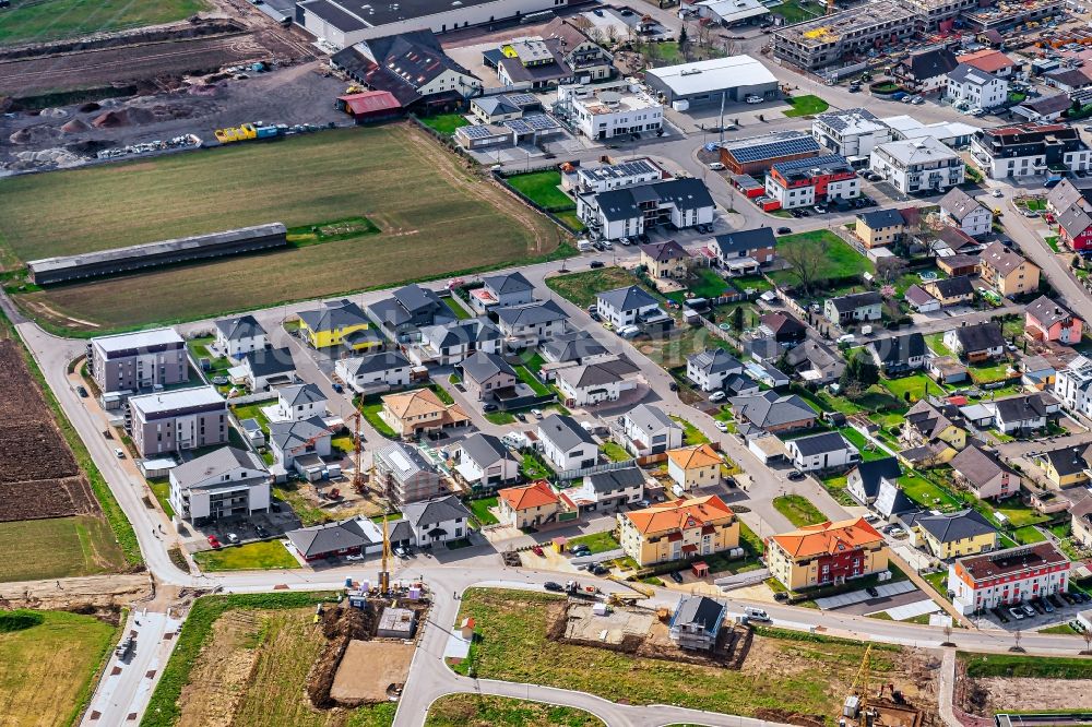 Aerial photograph Rust - Residential area of the multi-family house settlement in Rust in the state Baden-Wurttemberg, Germany