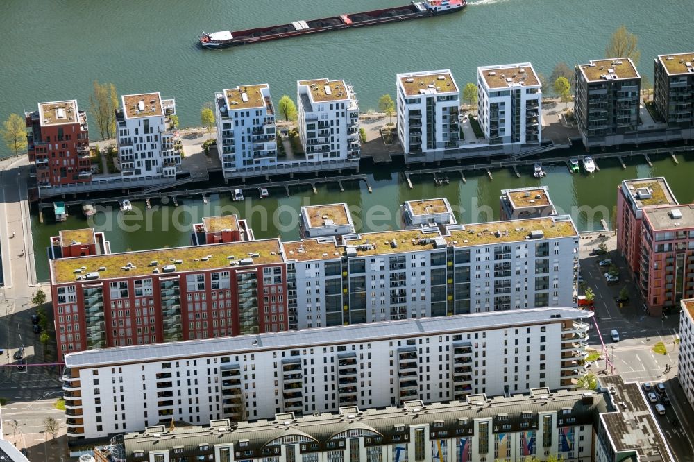 Aerial photograph Frankfurt am Main - Residential area of a multi-family house settlement on the bank and river of Main on Marina Westhafen Karpfenweg - Bachforellenweg in Frankfurt in the state Hesse, Germany