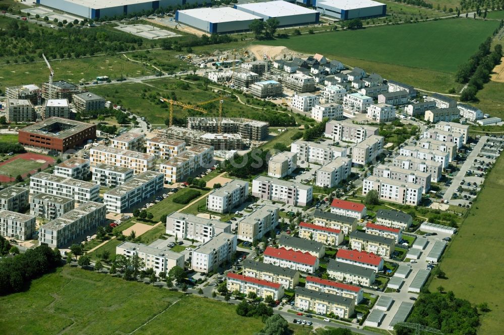 Aerial photograph Schönefeld - Residential area of the multi-family house settlement Bertold-Brecht-Allee - Bayangol-Park in Schoenefeld in the state Brandenburg, Germany