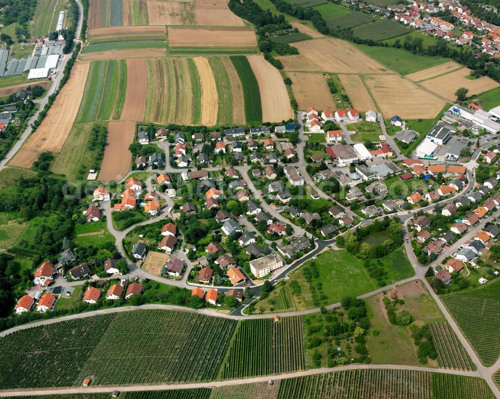 Aerial image Auenstein - Residential area - mixed development of a multi-family housing estate and single-family housing estate in Auenstein in the state Baden-Wuerttemberg, Germany