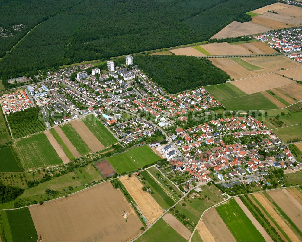 Blankenloch-Büchig from above - Residential area - mixed development of a multi-family housing estate and single-family housing estate in Blankenloch-Büchig in the state Baden-Wuerttemberg, Germany