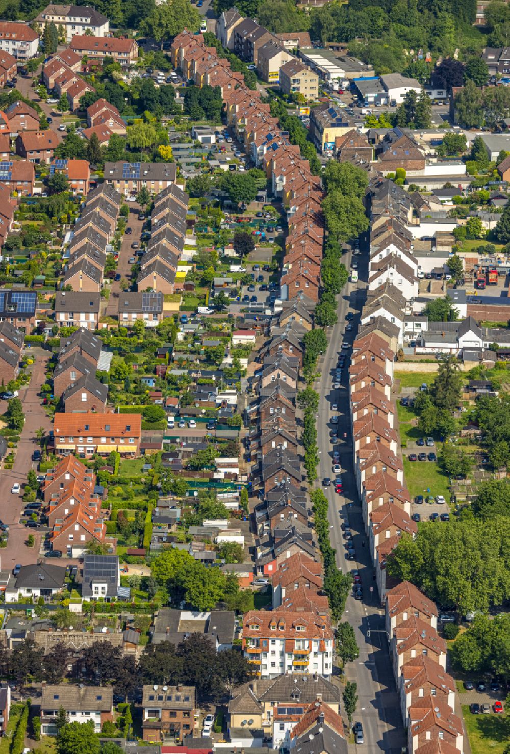 Gelsenkirchen-Nord from above - Residential area - mixed development of a multi-family housing estate and single-family housing estate in Gelsenkirchen-Nord in the state North Rhine-Westphalia, Germany