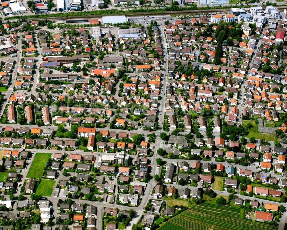 Lauffen am Neckar from the bird's eye view: Residential area - mixed development of a multi-family housing estate and single-family housing estate in Lauffen am Neckar in the state Baden-Wuerttemberg, Germany