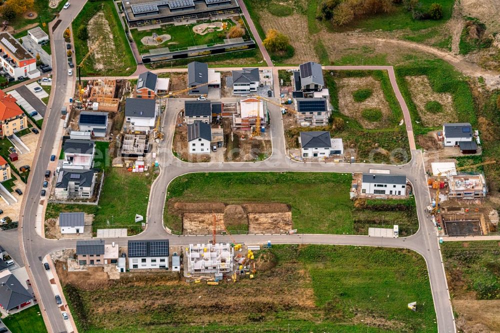 Rust from above - Residential area - mixed development of a multi-family housing estate and single-family housing estate in Rust in the state Baden-Wuerttemberg, Germany