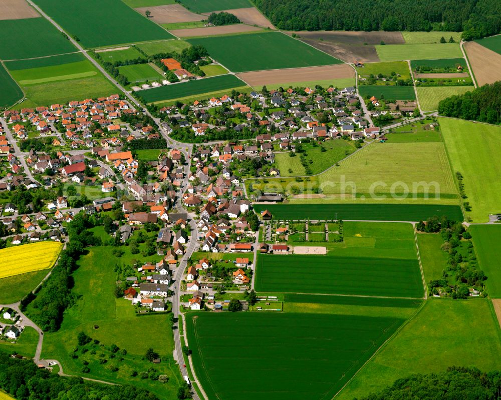 Warthausen from the bird's eye view: Residential area - mixed development of a multi-family housing estate and single-family housing estate in Warthausen in the state Baden-Wuerttemberg, Germany
