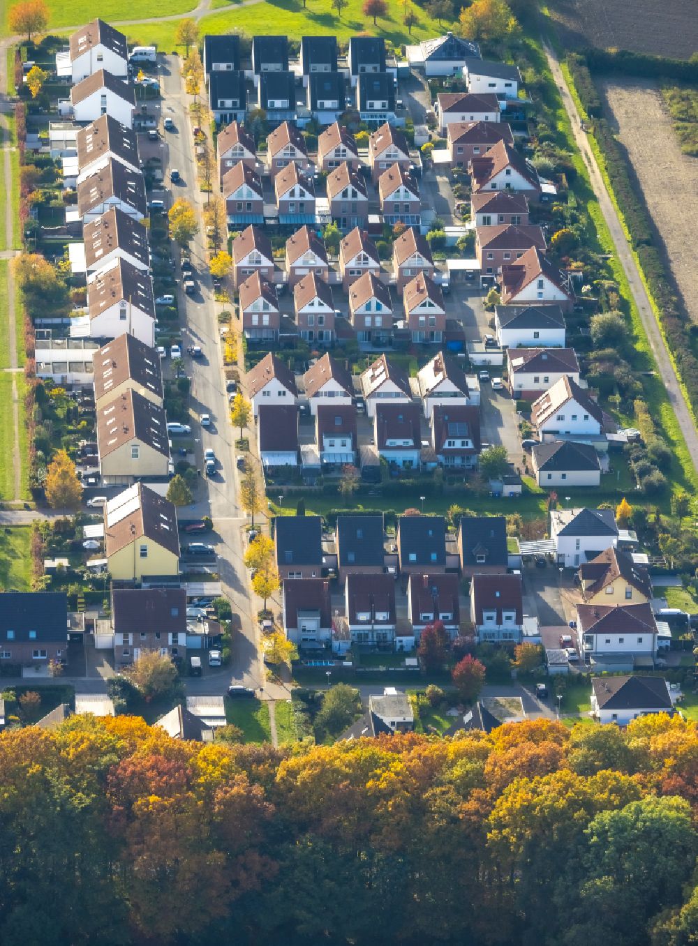 Zweckel from above - residential area - mixed development of a multi-family housing estate and single-family housing estate on street Albert-Einstein-Strasse in Zweckel at Ruhrgebiet in the state North Rhine-Westphalia, Germany