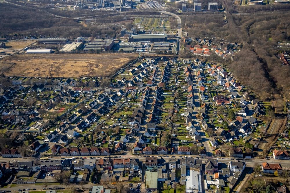 Gelsenkirchen from above - Residential area - mixed development of a multi-family housing estate and single-family housing estate zwiechen Lessingstrasse and Brennackerstrasse in the district Hassel in Gelsenkirchen at Ruhrgebiet in the state North Rhine-Westphalia, Germany