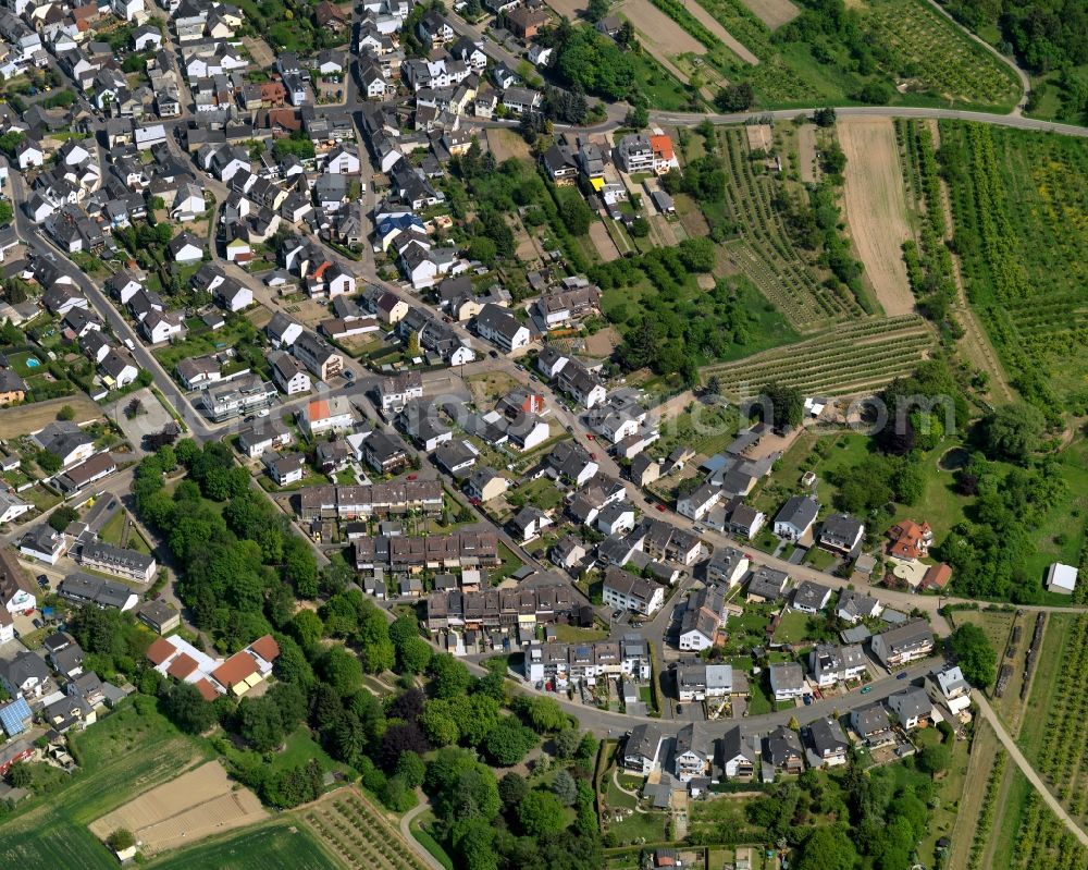 Aerial photograph Mülheim-Kärlich - Settlement in Muelheim-Kaerlich in the state Rhineland-Palatinate