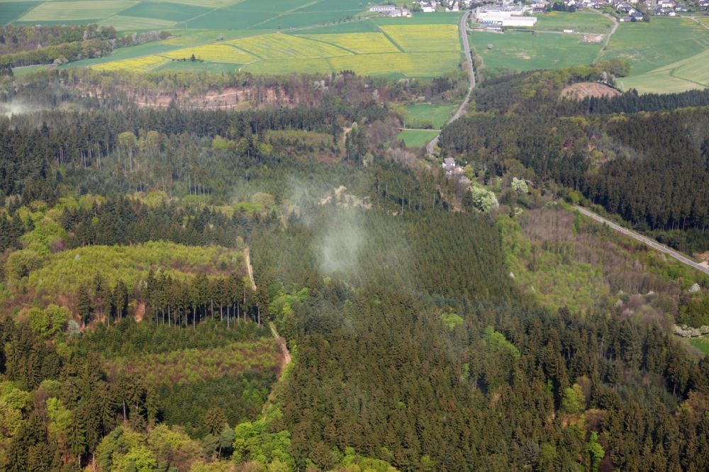 Beltheim from above - Clouds of pollen over treetops in a wooded area at Beltheim in the state Rhineland-Palatinate, Germany