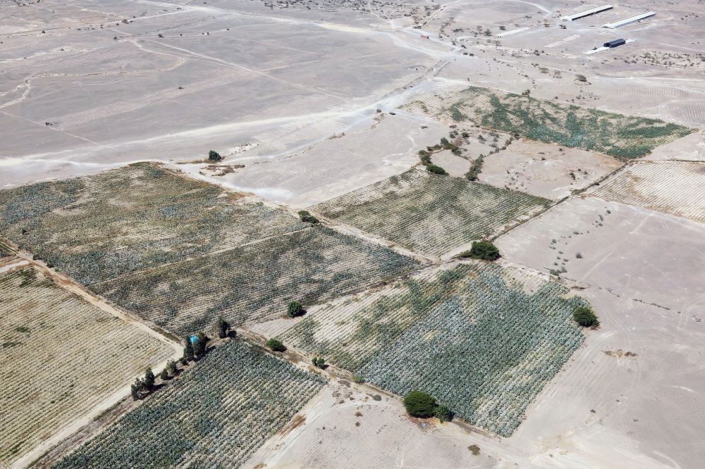 Aerial photograph Nazca - Deserts and steppe landscape in Nazca in Ica, Peru