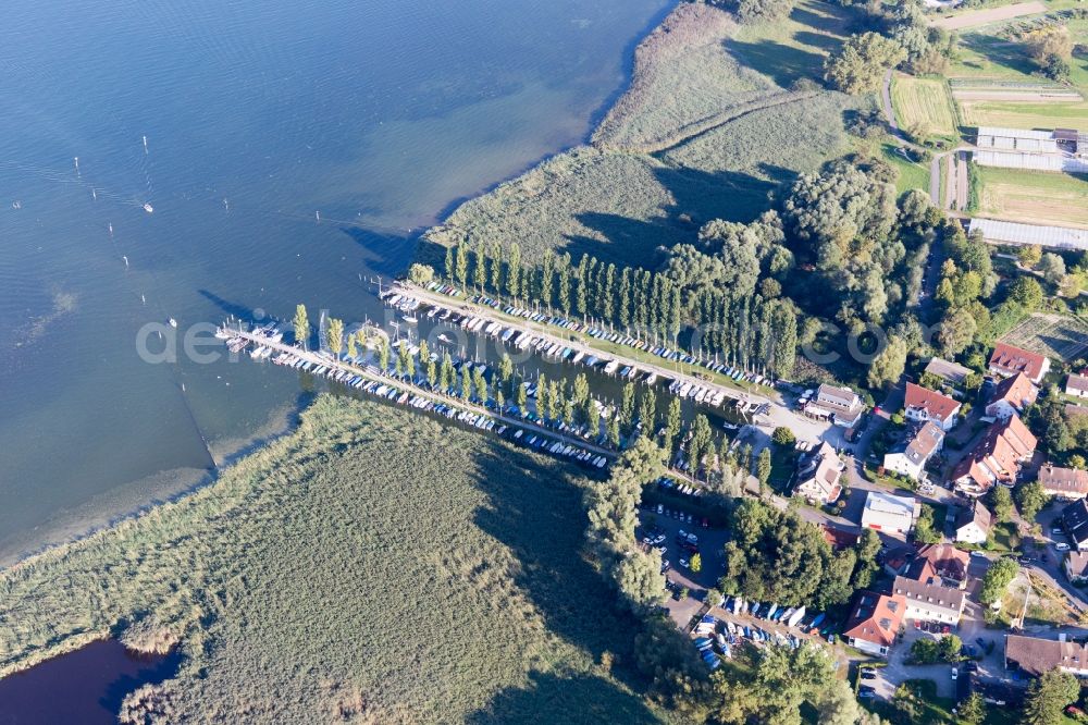 Moos from the bird's eye view: Pleasure boat marina with docks and moorings on the shore area of Lake of Constance in Moos in the state Baden-Wuerttemberg, Germany