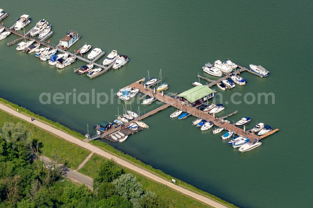 Aerial photograph Vogtsburg im Kaiserstuhl - Pleasure boat marina with docks and moorings on the shore area of the Rhine river in Vogtsburg im Kaiserstuhl in the state Baden-Wuerttemberg, Germany