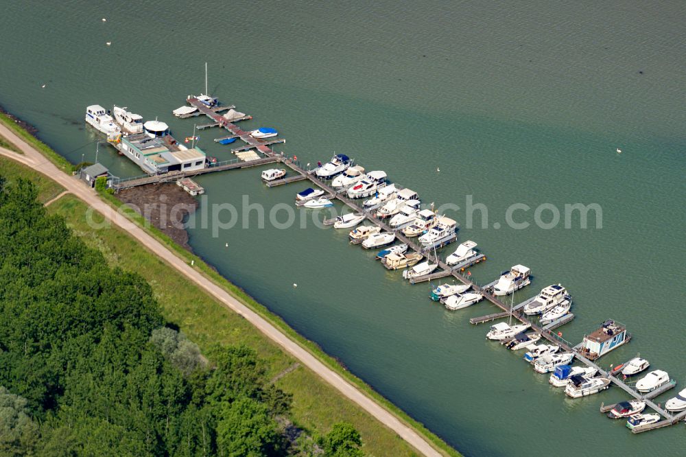 Vogtsburg im Kaiserstuhl from above - Pleasure boat marina with docks and moorings on the shore area of the Rhine river in Vogtsburg im Kaiserstuhl in the state Baden-Wuerttemberg, Germany