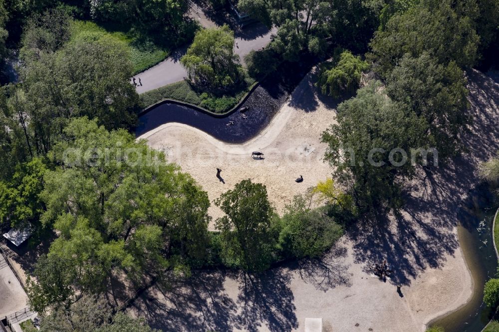 Aerial photograph Berlin - Compartments of the Tierpark Berlin zoo in the Friedrichsfelde part of the district of Lichtenberg in Berlin. Water buffalos are swimming in the small creek used as borders between the compartments