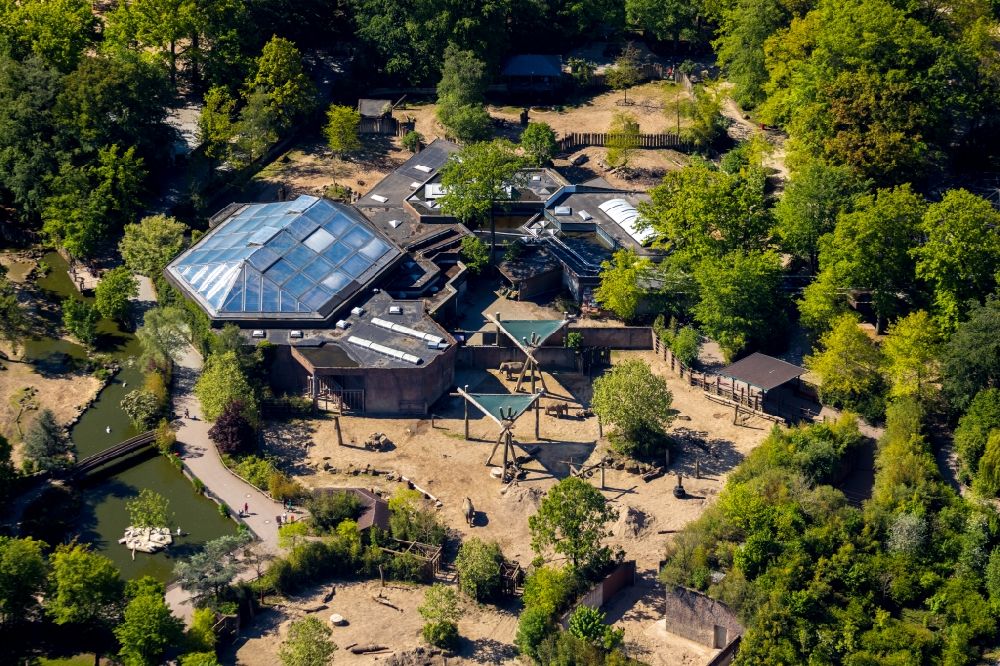 Aerial image Münster - Zoo area at the zoo Allwetterzoo Muenster on the Aasee in Muenster in the state North Rhine-Westphalia, Germany