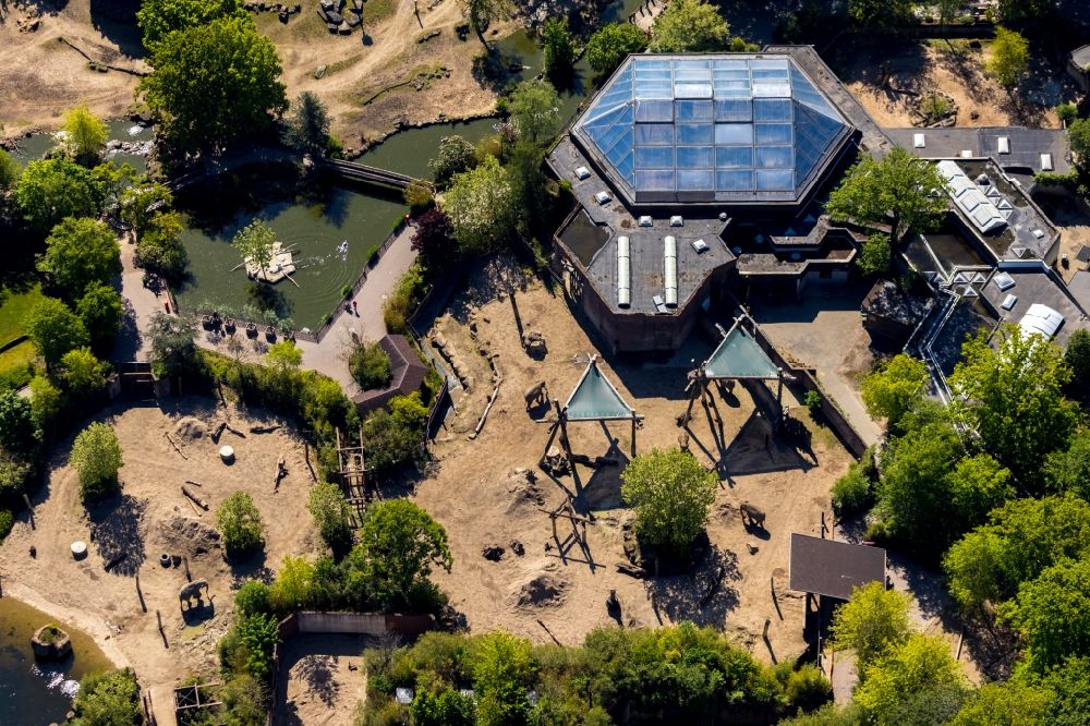 Aerial photograph Münster - Zoo area at the zoo Allwetterzoo Muenster on the Aasee in Muenster in the state North Rhine-Westphalia, Germany