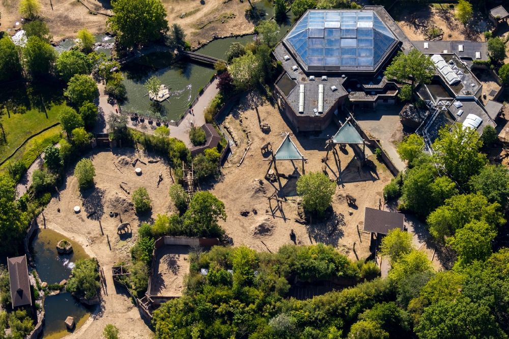 Münster from above - Zoo area at the zoo Allwetterzoo Muenster on the Aasee in Muenster in the state North Rhine-Westphalia, Germany