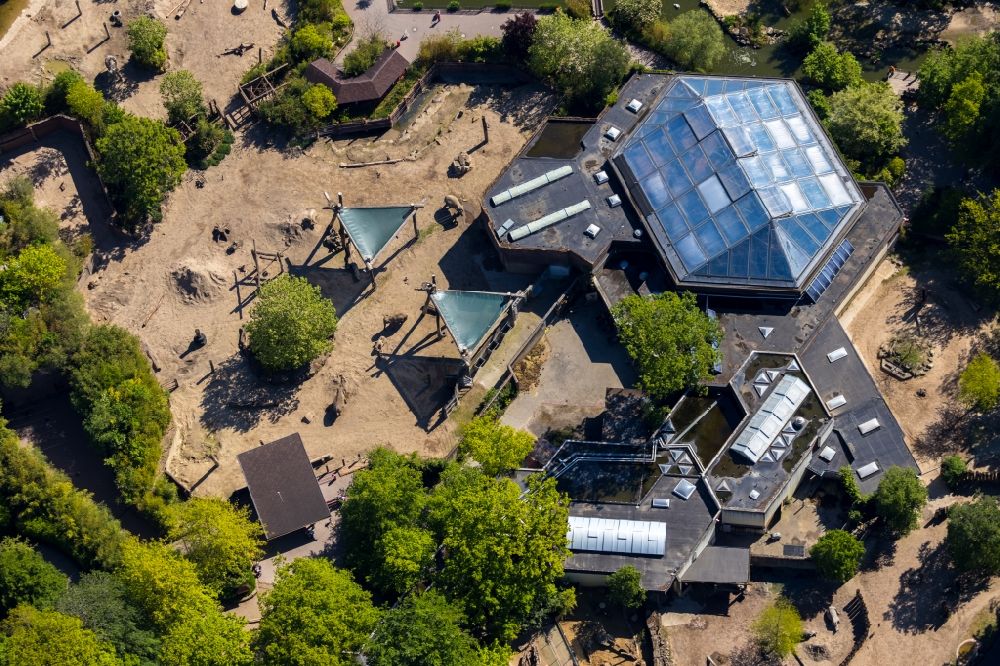 Münster from the bird's eye view: Zoo area at the zoo Allwetterzoo Muenster on the Aasee in Muenster in the state North Rhine-Westphalia, Germany