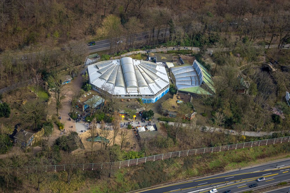 Aerial photograph Duisburg - Zoo grounds in the Carl Benz street in Duisburg in the state North Rhine-Westphalia