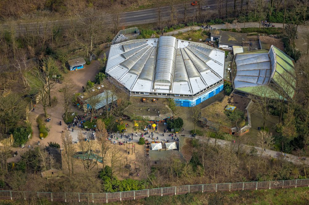 Aerial image Duisburg - Zoo grounds in the Carl Benz street in Duisburg in the state North Rhine-Westphalia