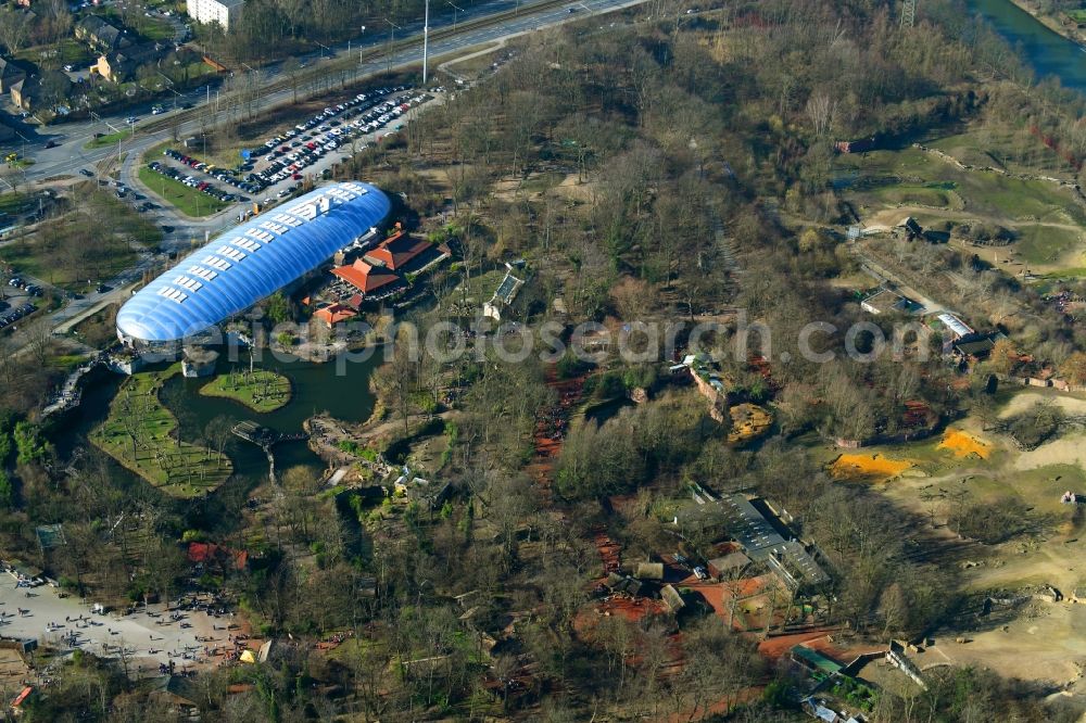 Aerial image Gelsenkirchen - Zoo grounds of ZOOM Erlebniswelt on Asienhalle in the district Bismarck in Gelsenkirchen in the state North Rhine-Westphalia, Germany