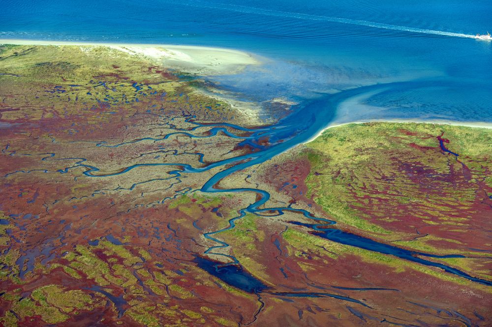 Aerial image Juist - Curved loops of several converging rivers flowing into the Wadden Sea on the green environmentally protected North Sea island Memmert in Juist and the sandbank Kachelotplate in the state Lower Saxony