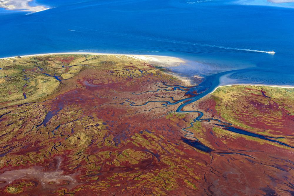 Juist from above - Curved loops of several converging rivers flowing into the Wadden Sea on the green environmentally protected North Sea island Memmert in Juist and the sandbank Kachelotplate in the state Lower Saxony