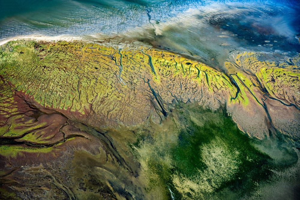 Aerial image Nordseeinsel Memmert - Curved loops of several converging rivers flowing into the Wadden Sea on the green environmentally protected North Sea island Memmert in Juist and the sandbank Kachelotplate in the state Lower Saxony
