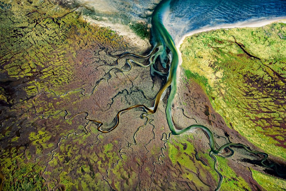 Nordseeinsel Memmert from above - Curved loops of several converging rivers flowing into the Wadden Sea on the green environmentally protected North Sea island Memmert in Juist and the sandbank Kachelotplate in the state Lower Saxony