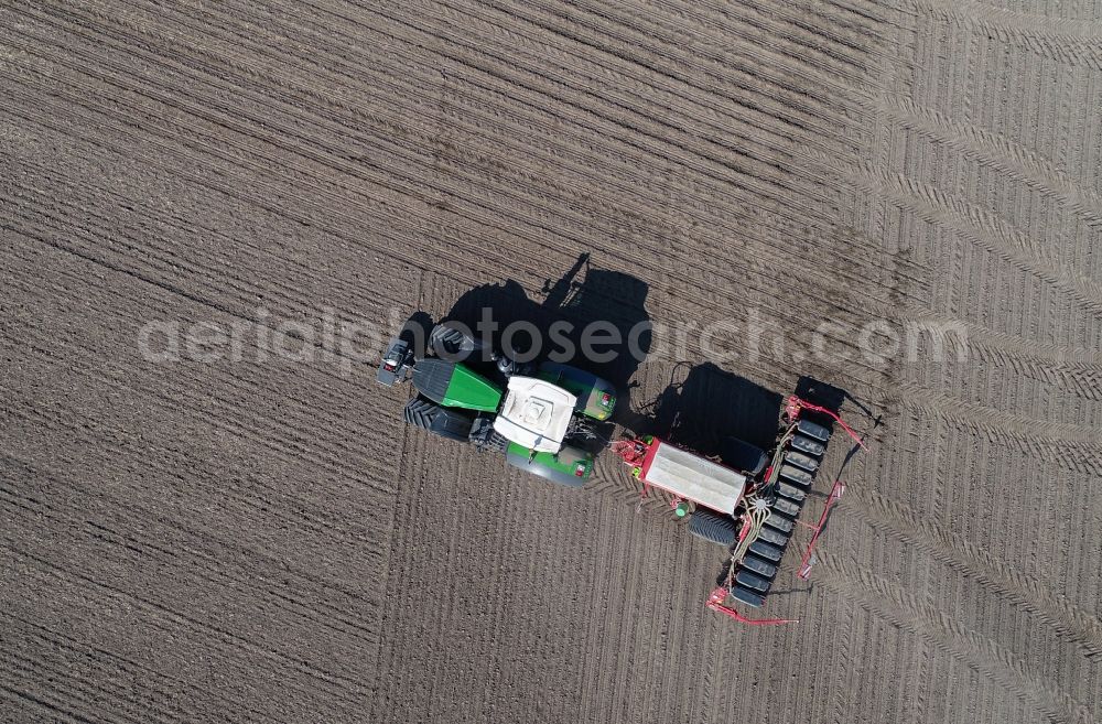 Vertical aerial photograph Mallnow - Vertical aerial view from the satellite perspective of the cultivation of a field using a tractor with agricultural machine for sowing with corn seeds in Mallnow in the state Brandenburg, Germany